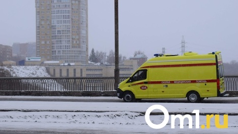 В Омске маршрутка сбила 16-летнюю школьницу