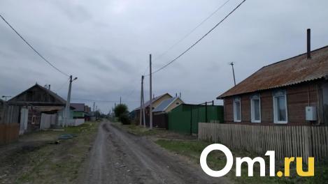 В Омской области сформируют муниципальные округа