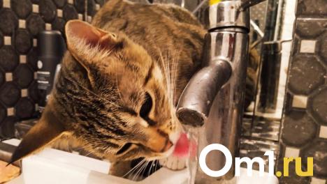 Омичи из трёх округов на этой неделе останутся без холодной воды