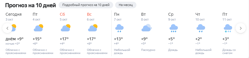 В октябре синоптики прогнозируют новосибирцам снег и похолодание