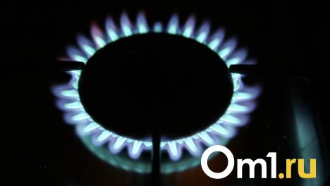 Газовое месторождение в Омской области готовят к пятигодичной консервации