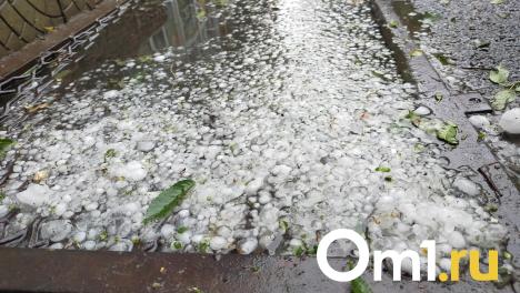 В Тюкалинске прошёл град размером с вишню