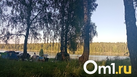 На озере Данилово отдыхающие жестоко избили 9-летнего мальчика, который не позволил им рубить деревья