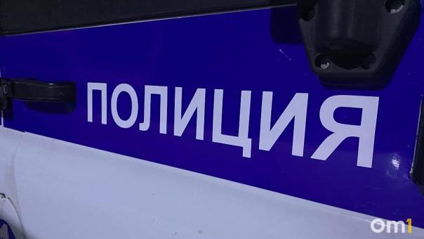 В Омске полиция раскрыла кражу батута