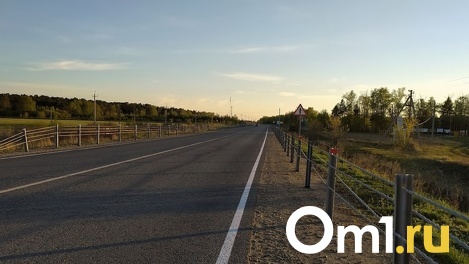 В Верхнем Карбуше Омской области доделали дорогу, из-за которой местные жители писали Меркель