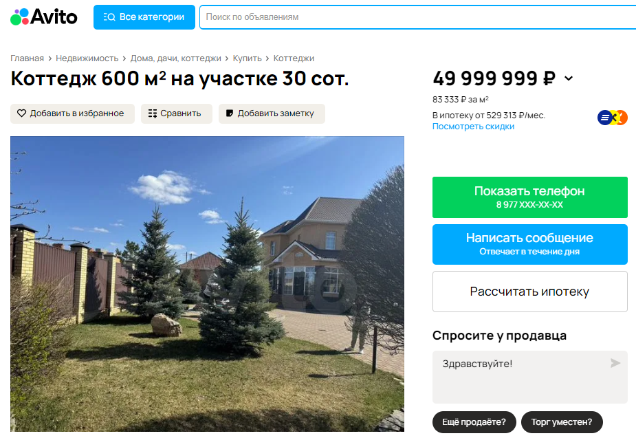 Под Омском продают коттедж с собственным выходом к Иртышу и фонтаном
