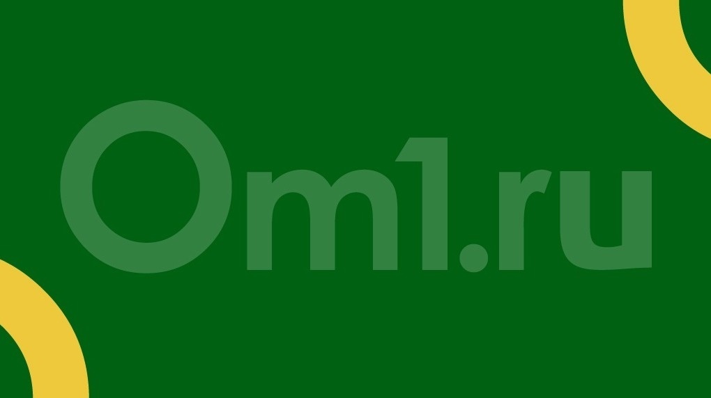 Медвежонка-сироту отправят в реанимационный центр в Новосибирской области