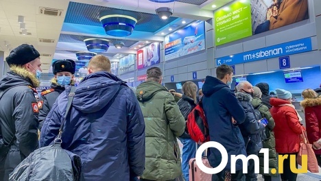 Стало известно, куда омичи смогут полететь в следующем году прямым рейсом