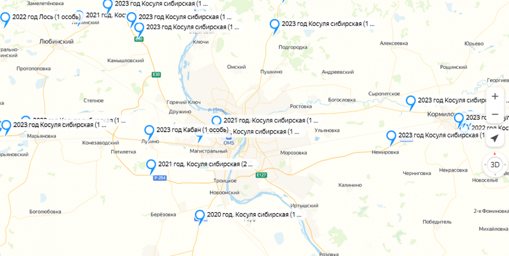 В омском Минприроды составили карту смертельных аварий с дикими животными