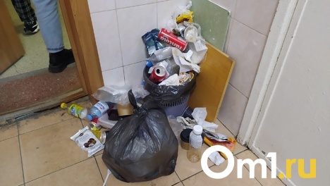 «Охранники ловят крыс»: студенты ОмГУ жалуются на антисанитарию в корпусах