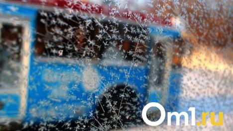 Омичей ожидают морозы в предстоящие выходные