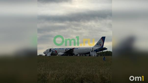 Два младенца находились на борту севшего в пшеничном поле самолёта