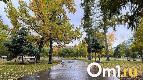 В выходные в Омской области резко испортится погода