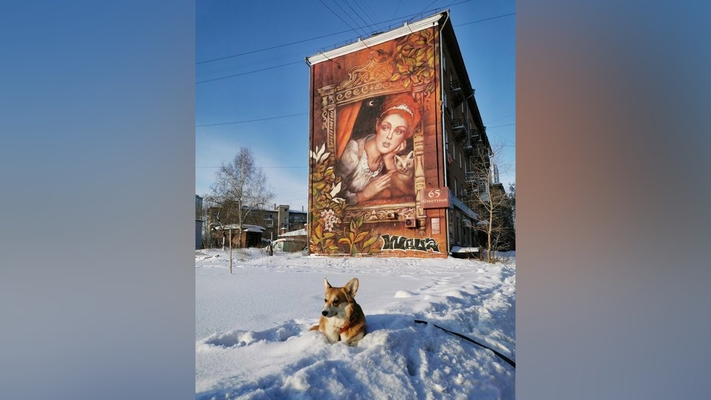От «Поезда» до «Стива Джобса»: топ-10 самых интересных стрит-артов Новосибирска