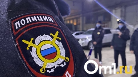 Раненому полицейскому пришлось отстреливаться от напавшего на него омича