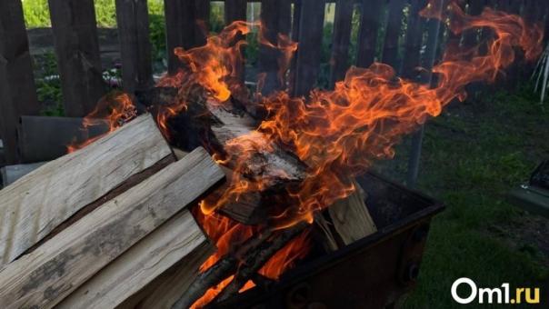 За шашлыки на природе новосибирцев могут оштрафовать на 20 тысяч рублей