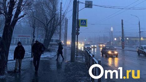 На Омскую область обрушится снегопад, а потом придёт мощное потепление