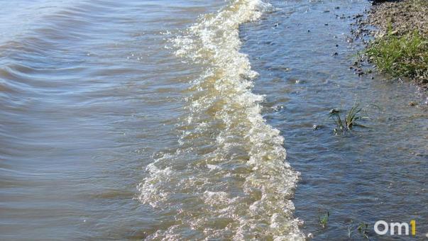 Пробы воды в Омской области показали загрязнение органическими веществами и металлами