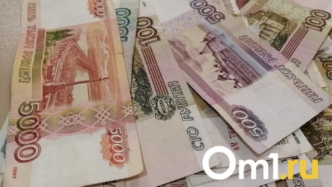 Выплаты к школе в 2022 году: на какие пособия могут рассчитывать родители новосибирских школьников
