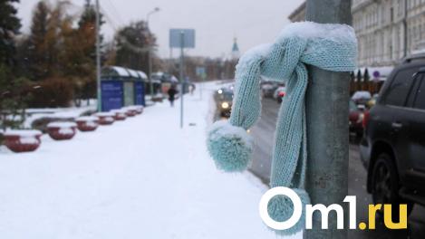 Вильфанд заявил, что омичи могут не ждать тёплого марта