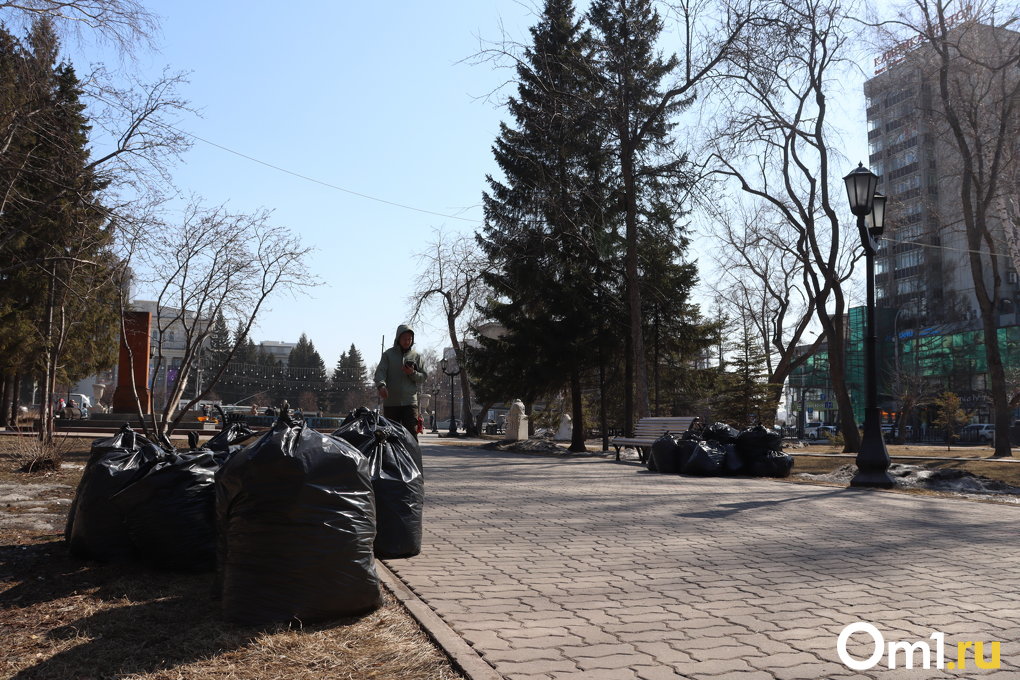 В Новосибирске прошёл общегородской субботник — показываем, насколько стали чище улицы