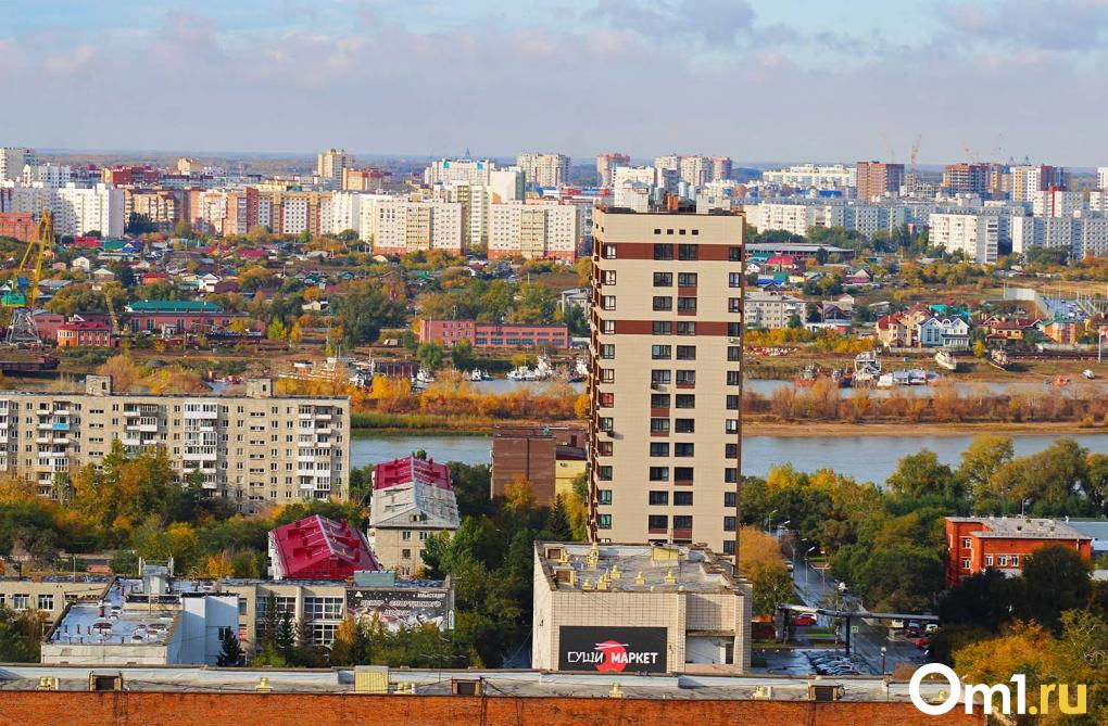 Омичам рассказали, какие квартиры можно купить с помощью маткапитала