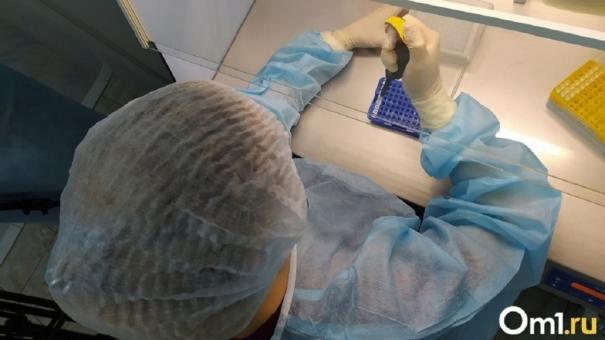 Новосибирский вирусолог Сергей Нетёсов назвал гомосексуалов основными переносчиками оспы обезьян