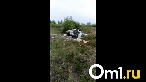 В СНТ под Омском вываливают мусор на территорию заброшенных дач - ВИДЕО