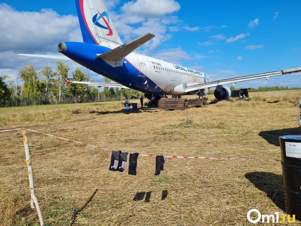 Севший на поле самолёт Сочи – Омск может улететь своим ходом