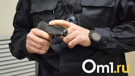Мужчина открыл стрельбу в Октябрьском районе Новосибирска