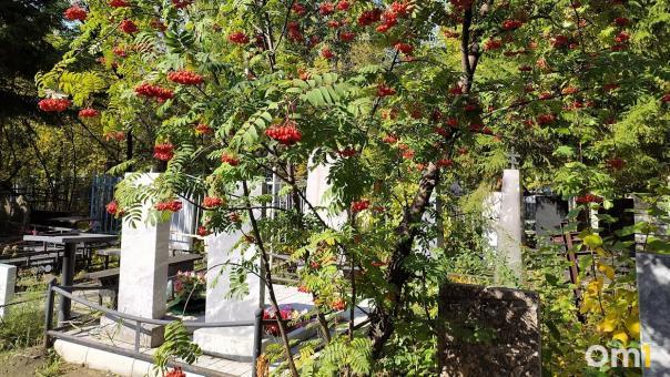 В районе Надеждино хотят разместить новое омское кладбище