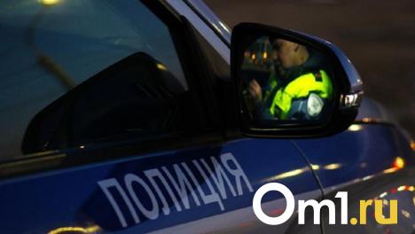 В Омской области пьяный мотоциклист сбил прохожего