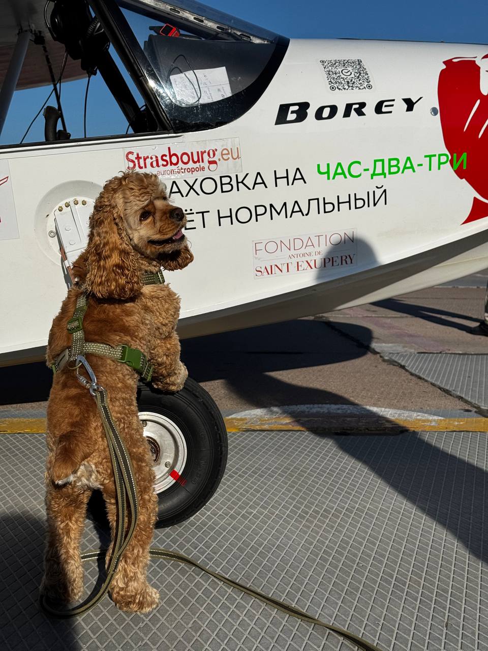К Омску приближается самолёт-амфибия с «собакой-штурманом»