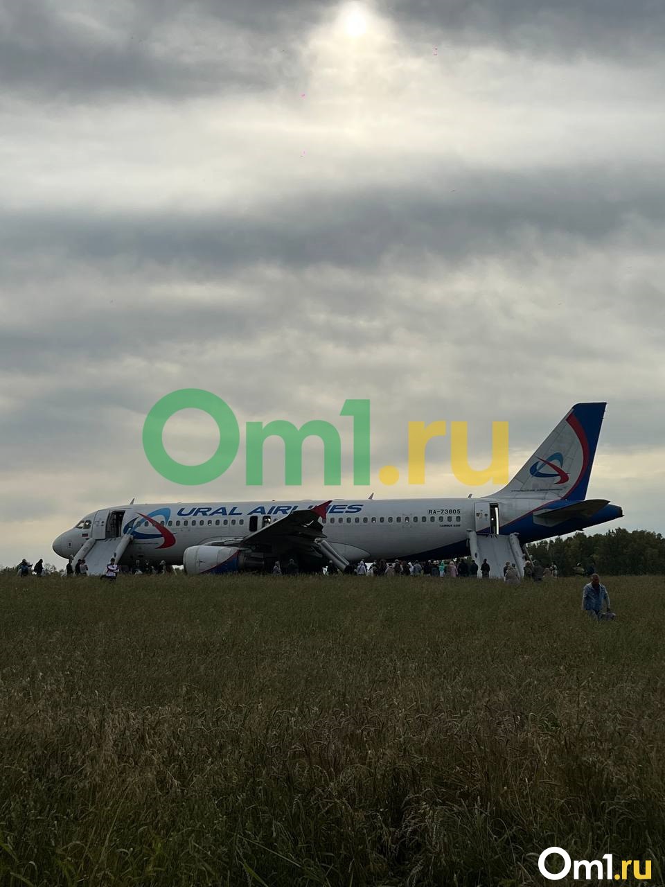 Появились фото с места аварийной посадки самолёта с омичами в поле