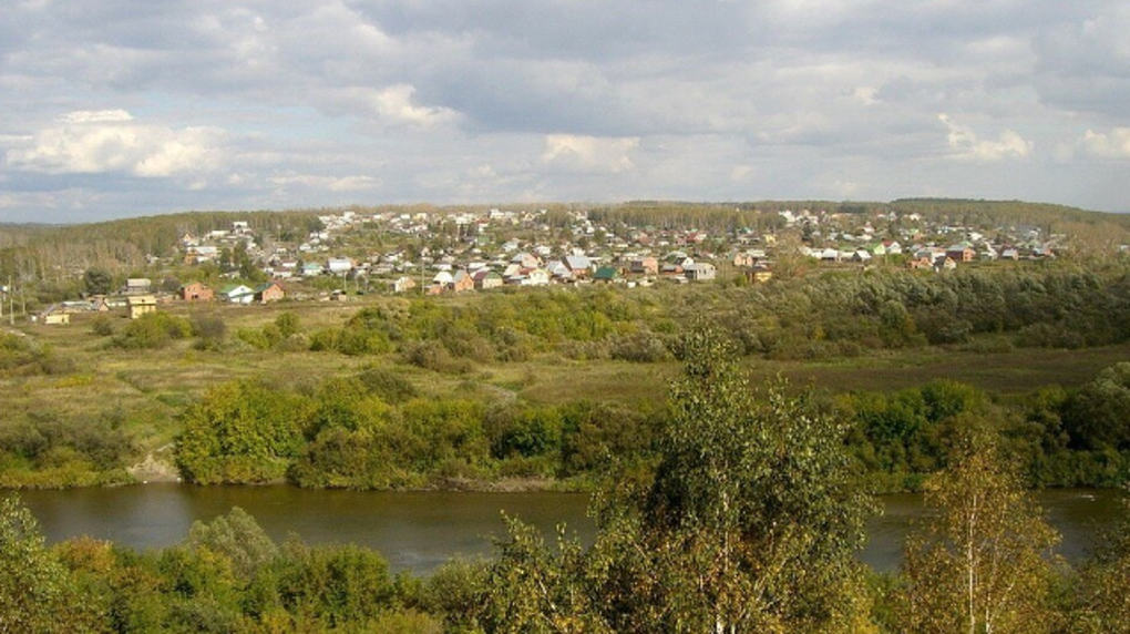 Грибной сезон начался в Новосибирской области: топ-10 заповедных мест