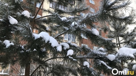 Потепление до -9 градусов ожидается в Новосибирске днём 15 января