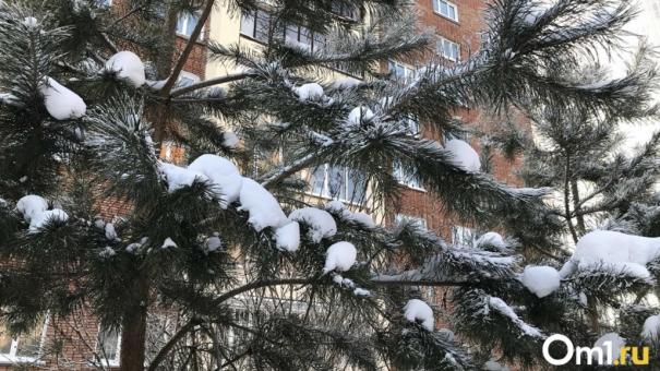 Потепление до -9 градусов ожидается в Новосибирске днём 15 января