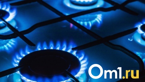 В ближайшие два года в Омской области газифицируют почти десять тысяч домовладений