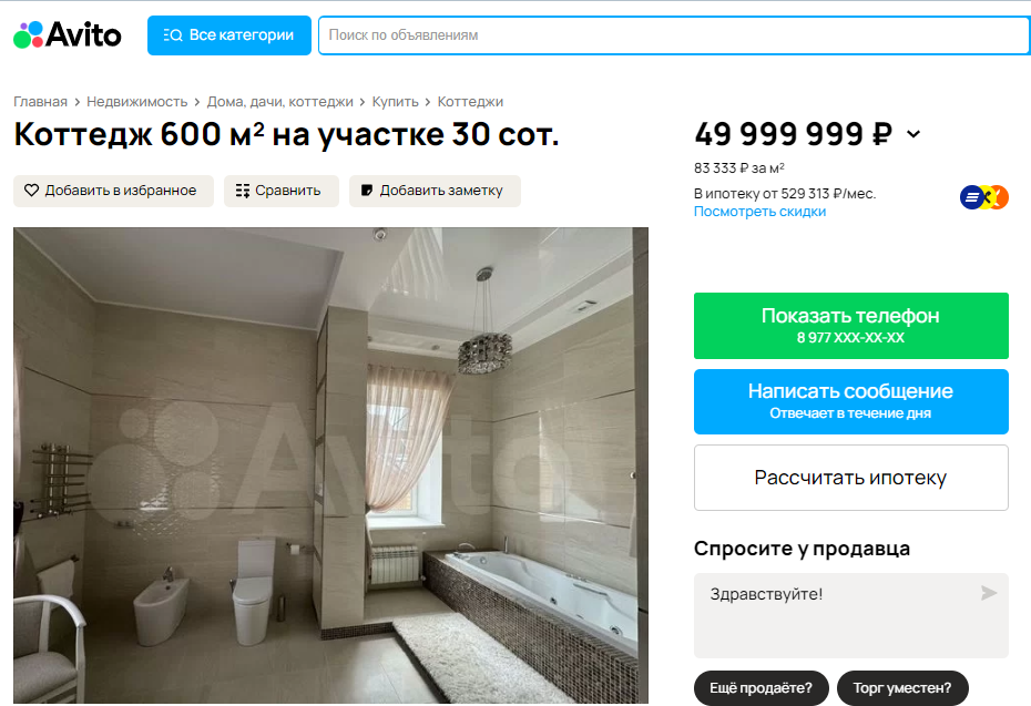 Под Омском продают коттедж с собственным выходом к Иртышу и фонтаном