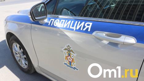 На Левобережье Омска полицейская машина врезалась во внедорожник