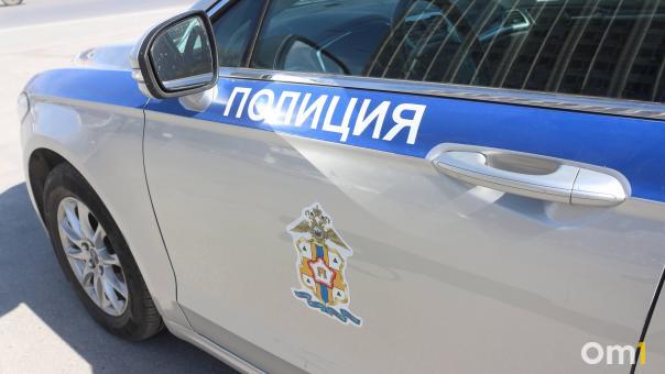 На Левобережье Омска полицейская машина врезалась во внедорожник