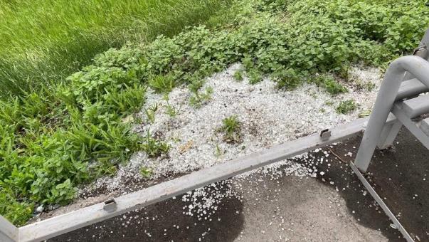 В Омске вандалы выбили стекло остановки у «Птичьей гавани»