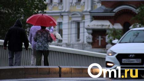 Гроза, град и ливень: на Омскую область надвигается шторм