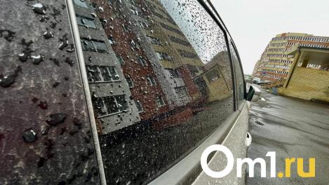 У омского риелтора во время снежной бури сгорел автомобиль