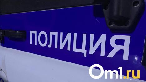 Два юных омича, которые сожгли вертолёт, остались в СИЗО ещё на два месяца