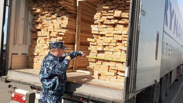 Древесина и контрафакт: сибирские таможенники пресекли ввоз более 9 тысяч тонн нелегальной продукции