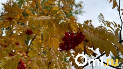 Синоптики рассказали, как долго продлится тёплая погода в Омске
