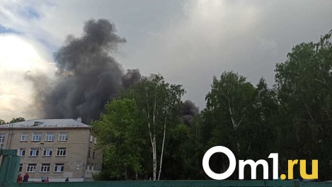 Валит чёрный дым: теплотрасса рядом со школой вспыхнула в Калининском районе Новосибирска