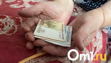 «Нищенское существование на грани выживания»: в Госдуме раскритиковали индексацию пенсий
