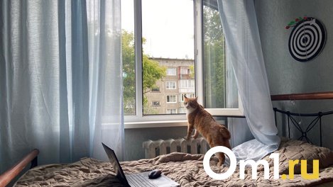 Вторая половина июня в Новосибирске ожидается дождливой и без аномальной жары